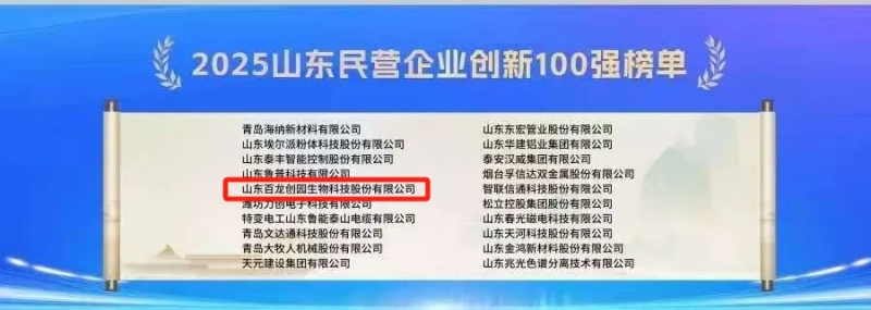 喜报丨尊龙凯时创园入选2025山东民营企业100强