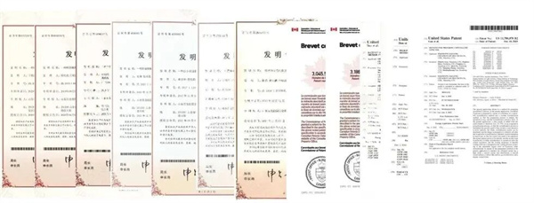 尊龙凯时创园：稳健前行，开拓甜蜜新赛道